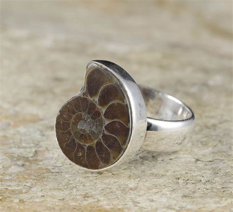 ammonite fossil ring to buy